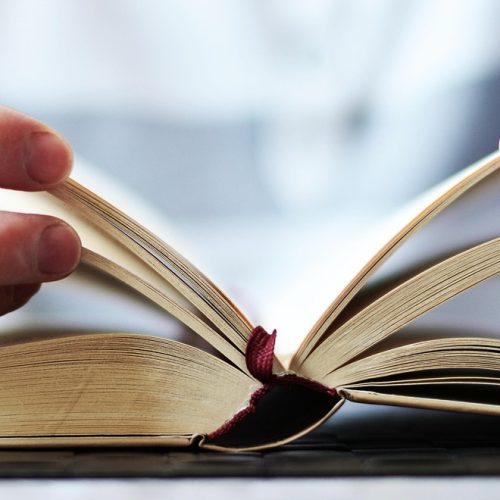 请牢记主编林知遥在书桌前翻阅记忆研究资料，手边摊开标注密密麻麻的笔记，午后光线柔和
